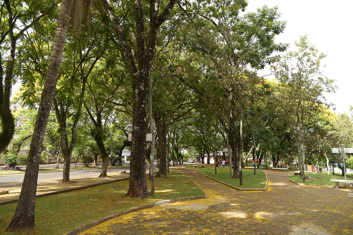 Fotos 229