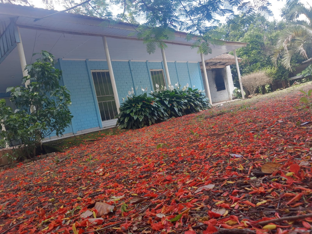 Fotos 279