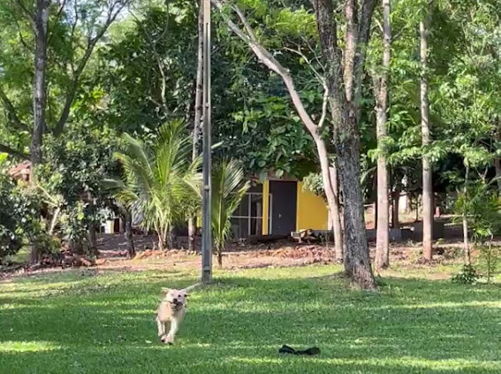 Fotos 321