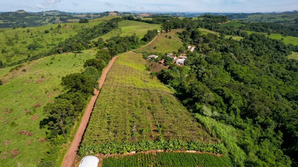Vinícola Cigolini