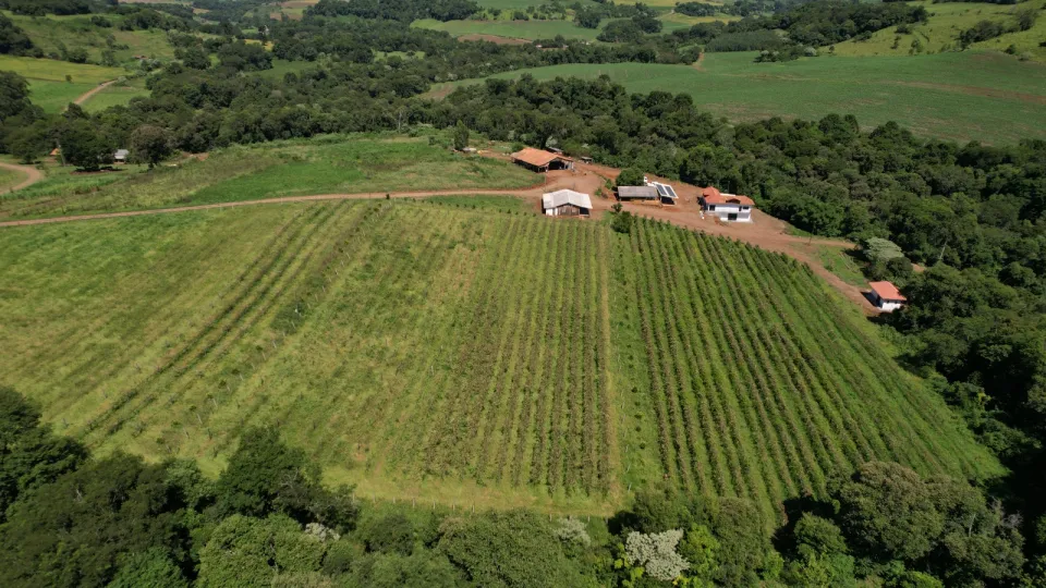 Vinícola Capital da Fronteira