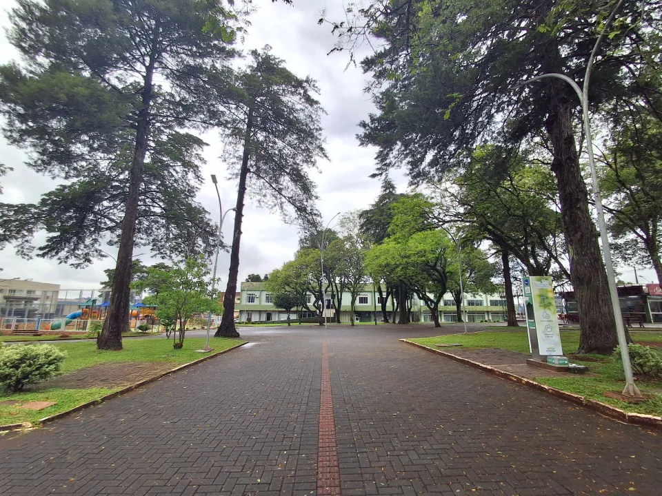 Marmeleiro